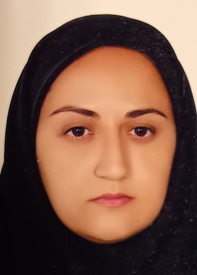 Zahra Hadjibabaie, Ph.D.